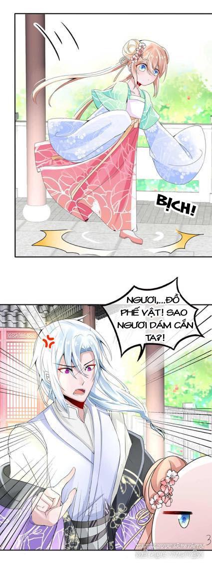 Kế Hoạch Sủng Ái Của Tiểu Công Chúa Chap 4 - Next Chap 5