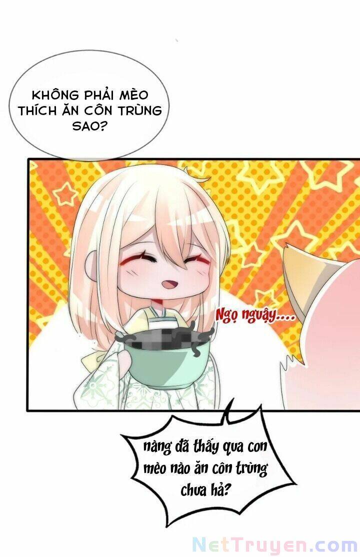 Kế Hoạch Sủng Ái Của Tiểu Công Chúa Chap 62 - Next Chap 63