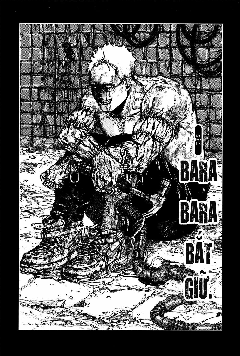 Kẻ Mất Trí Và Thế Giới Ma Thuật Chap 116 - Next Chap 117