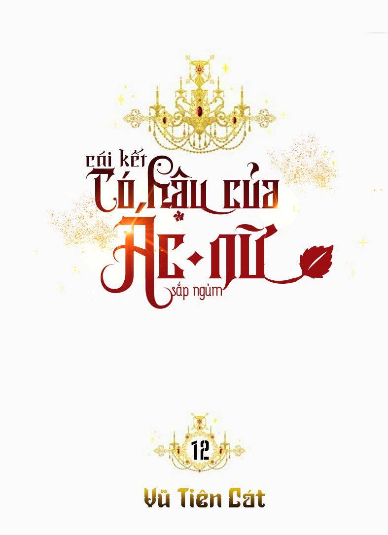 Kết Thúc Có Hậu Của Nhân Vật Phản Diện Chap 12 - Next Chap 13
