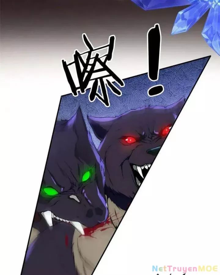 Khắp Thần Giới: Ta Hiến Tế Hàng Vạn Sinh Linh Trở Thành Thần Chap 96 - Next Chap 97