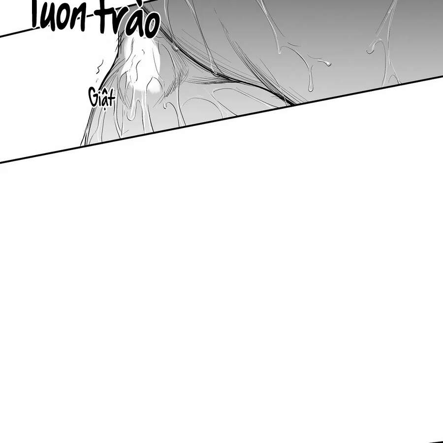 Khi Đôi Chân Thôi Bước Chap 48 - Next Chap 49