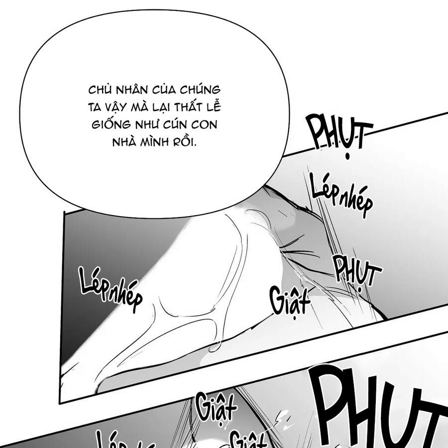 Khi Đôi Chân Thôi Bước Chap 48 - Next Chap 49