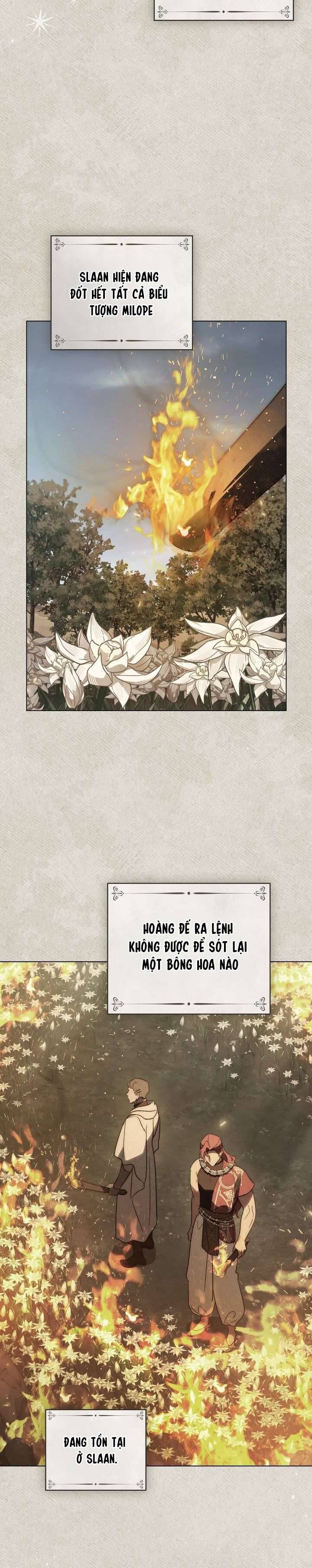 Khi Số Phận Tìm Đến Hai Ta Chap 80 - Next Chap 81