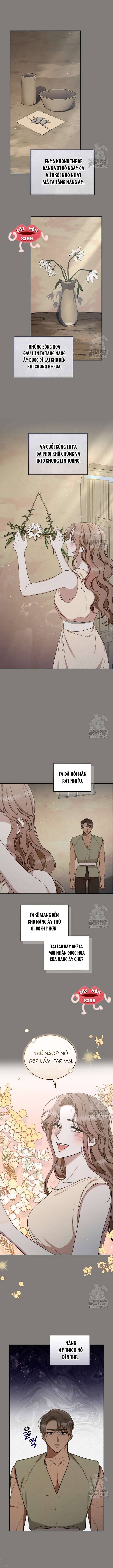 Khu Rừng Hoang Dã Chap 26 - Next Chap 27