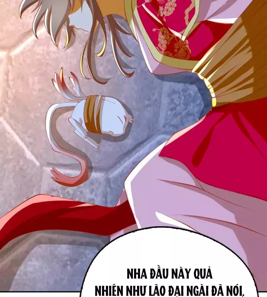 Khuynh Thành Cuồng Phi Của Tà Vương Chap 120 - Next Chap 121
