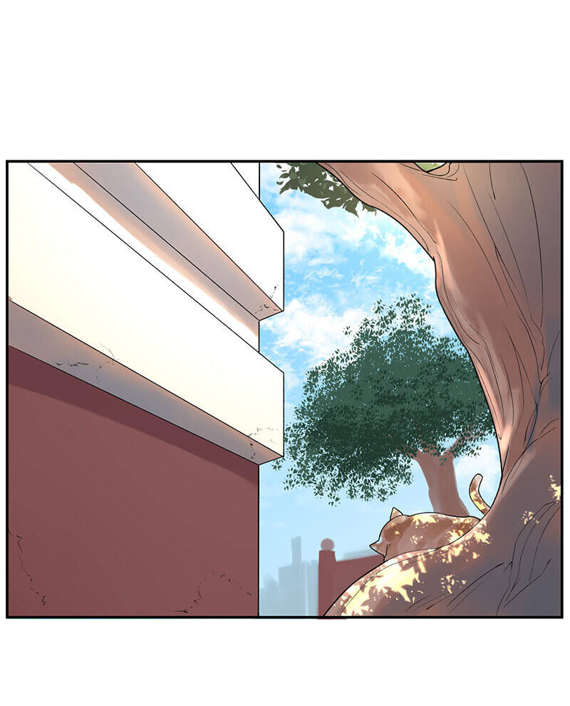 Kì Diệp Vi Ngũ Chap 3 - Next Chap 4
