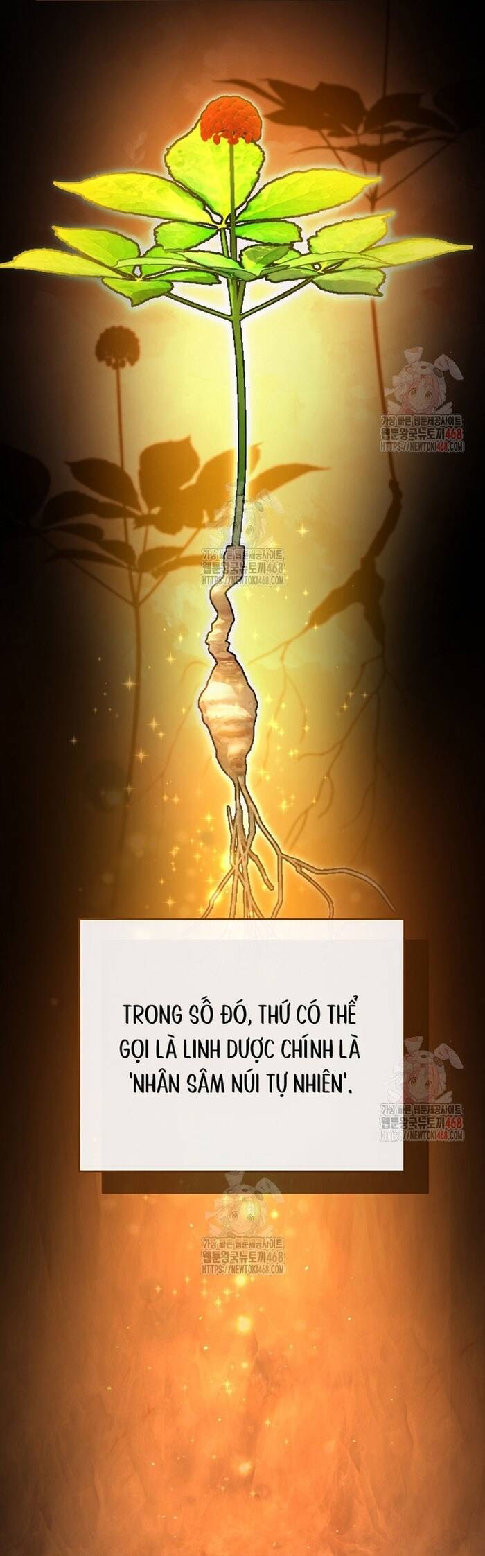 Kiếm Thánh Thiên Tài Của Học Viện Chap 13 - Next Chap 14