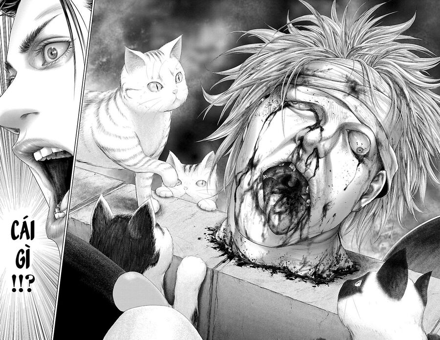 Kiến Vua Chap 1 - Next Chap 2