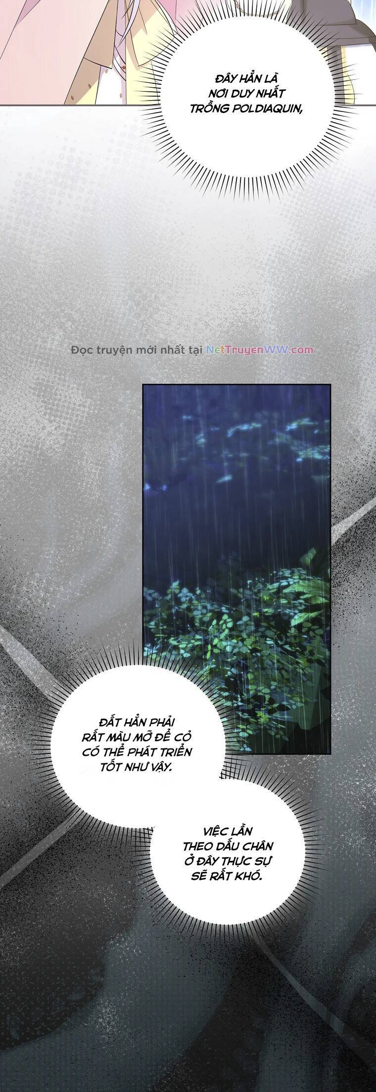 Kiếp Này Ta Sẽ Không Sống Như Một Anh Hùng Nữa Đâu! Có Lẽ Ta Sẽ Nghỉ Hưu! Chap 24 - Next Chap 25