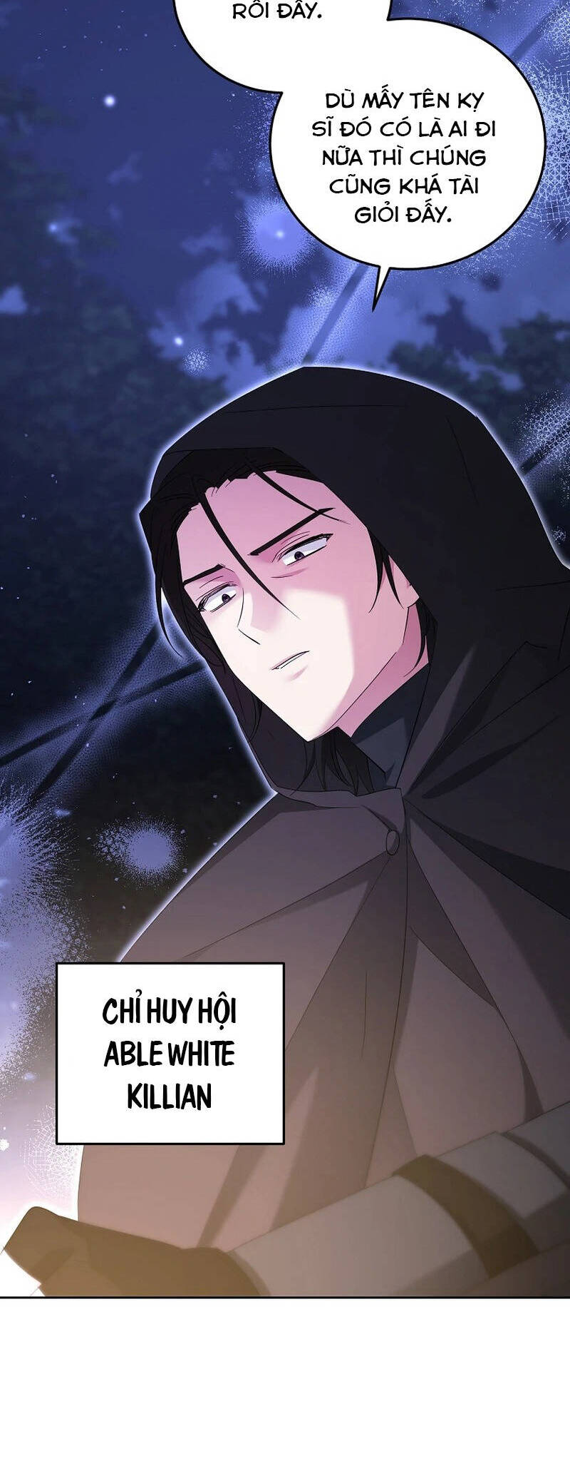 Kiếp Này Ta Sẽ Không Sống Như Một Anh Hùng Nữa Đâu! Có Lẽ Ta Sẽ Nghỉ Hưu! Chap 26 - Next Chap 27