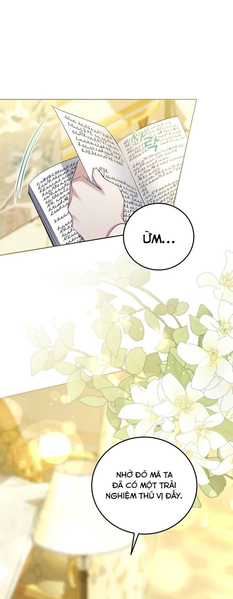 Kiếp Này Ta Sẽ Không Sống Như Một Anh Hùng Nữa Đâu! Có Lẽ Ta Sẽ Nghỉ Hưu! Chap 26 - Next Chap 27