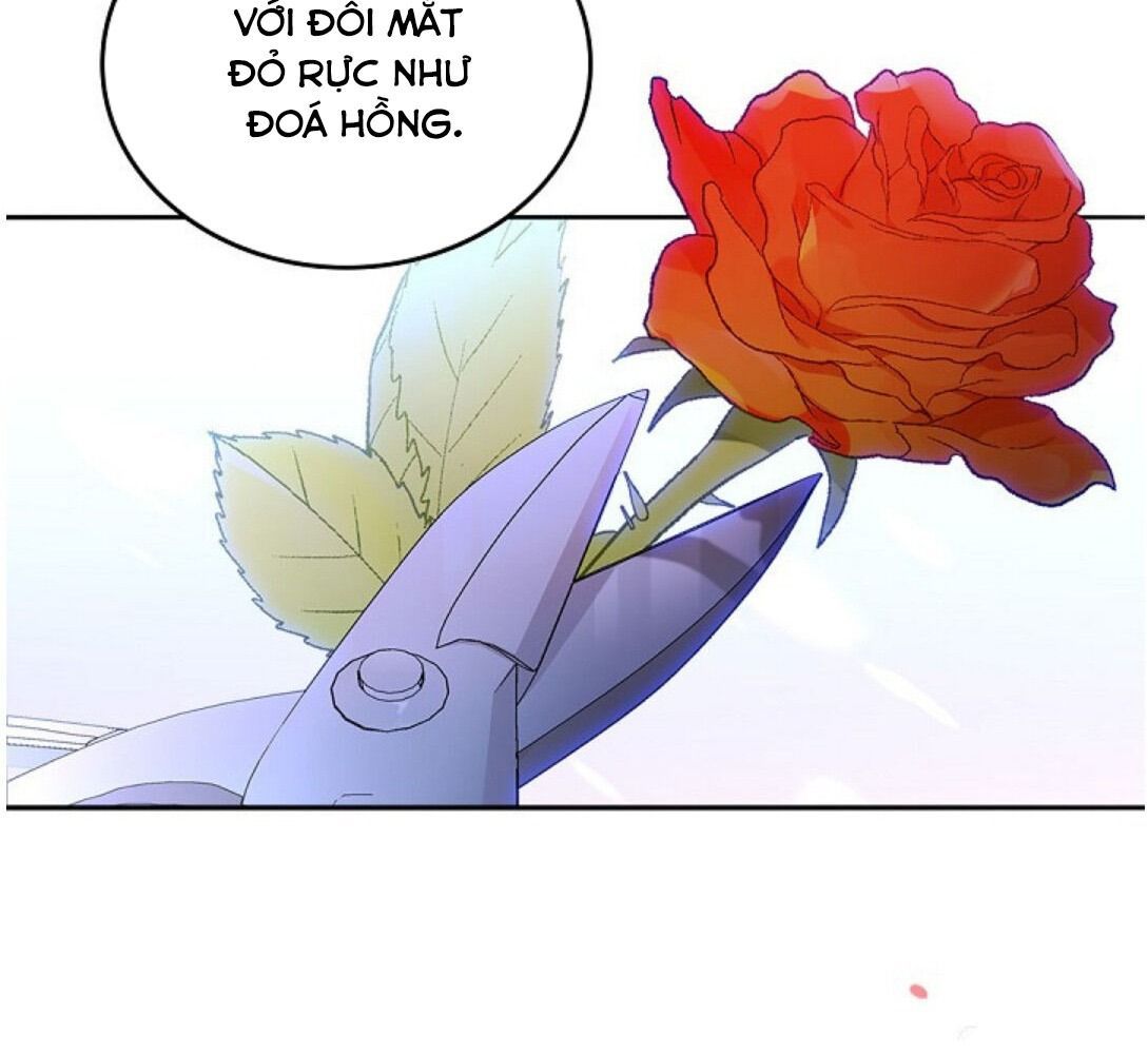 Kiếp Này, Tôi Sẽ Trở Thành Gia Chủ Chap 15 - Next Chap 16