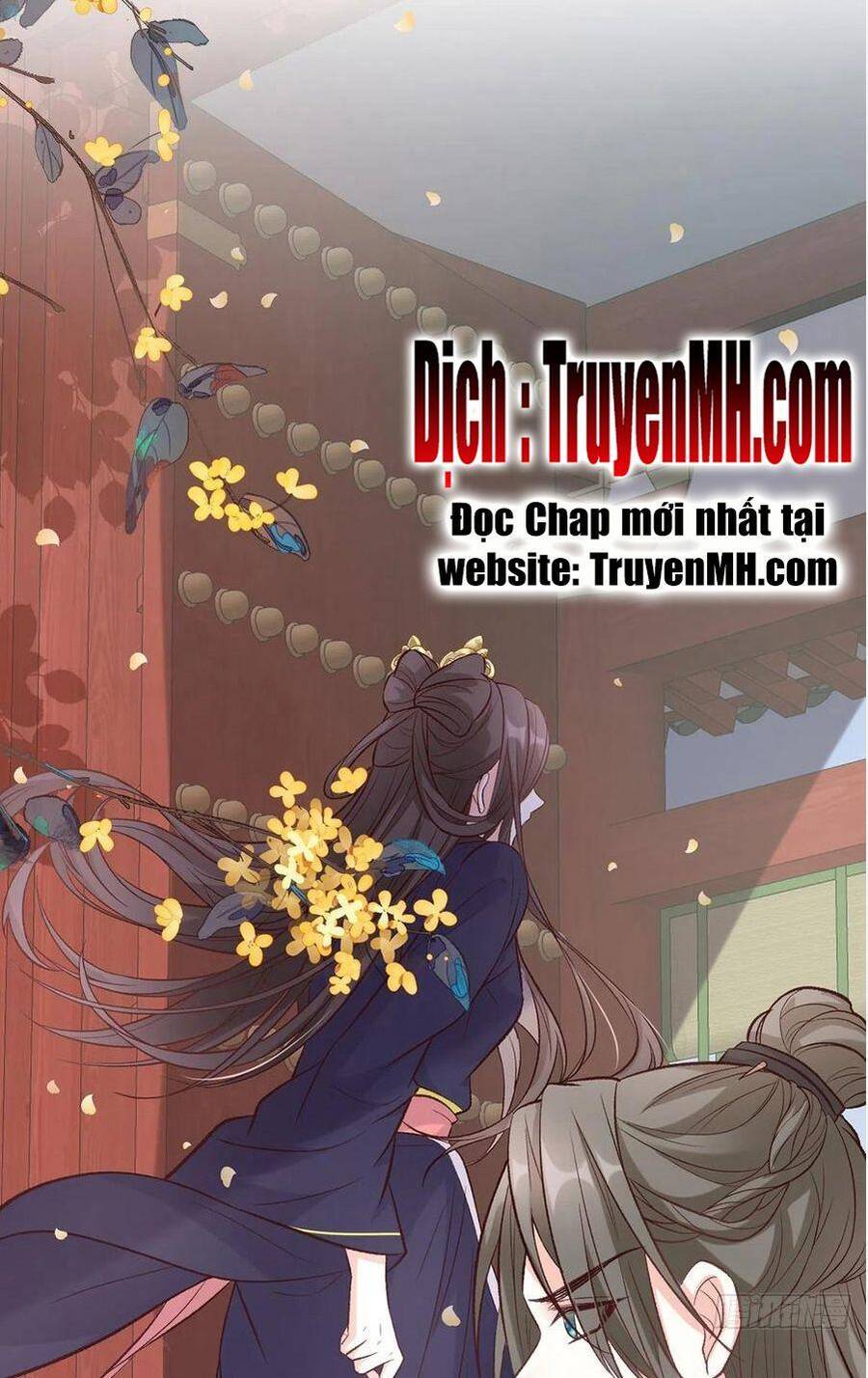 Kiều Mỵ Phu Lang, Tại Tuyến Lục Trà Chap 66 - Next Chap 67