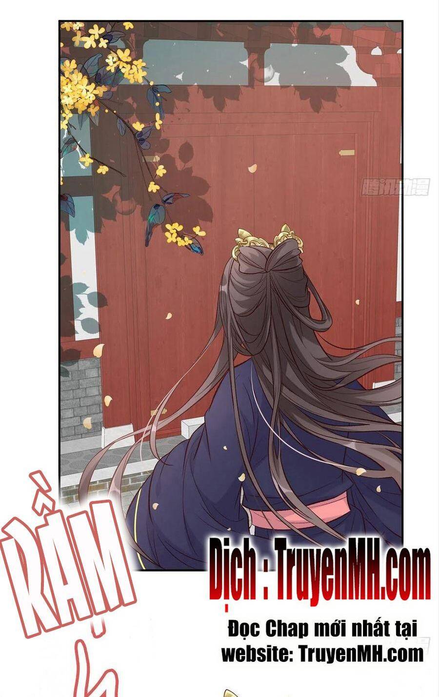 Kiều Mỵ Phu Lang, Tại Tuyến Lục Trà Chap 66 - Next Chap 67