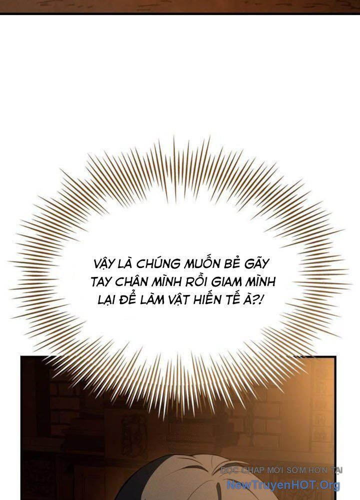Kim Chiến Sĩ: Hành Trình Xây Dựng Đặc Tính Chap 45 - Next Chap 46