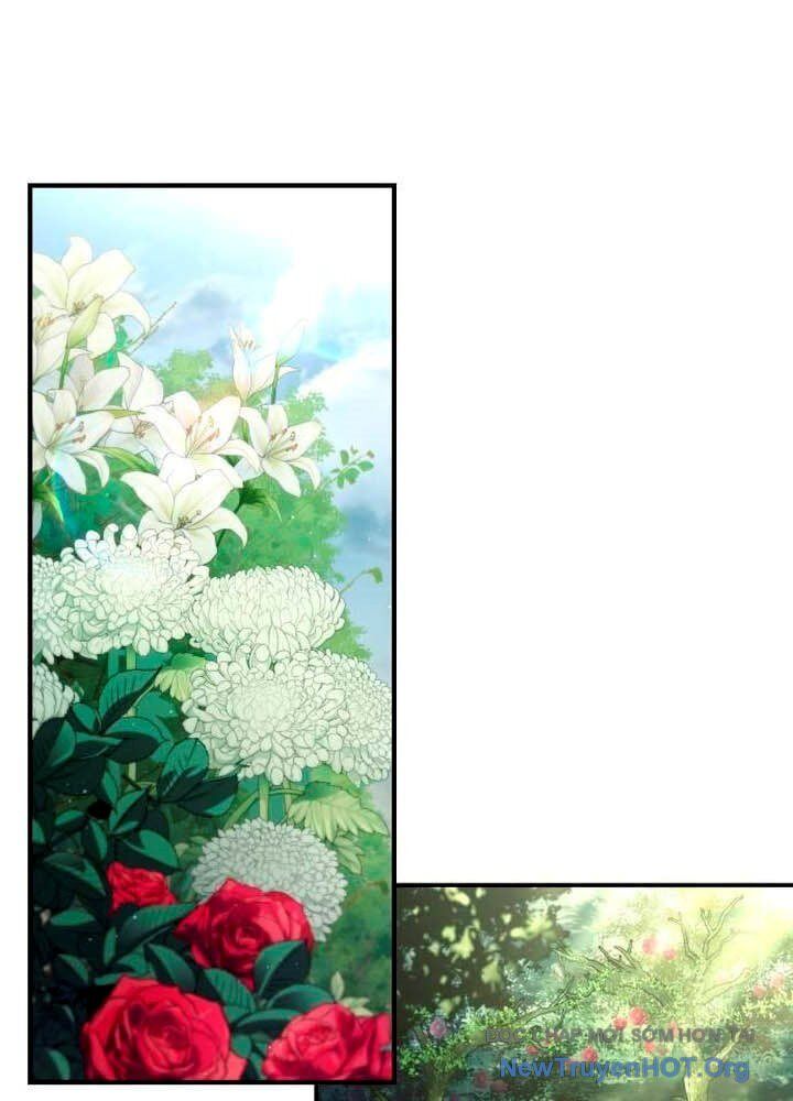 Kim Chiến Sĩ: Hành Trình Xây Dựng Đặc Tính Chap 46 - Next Chap 47