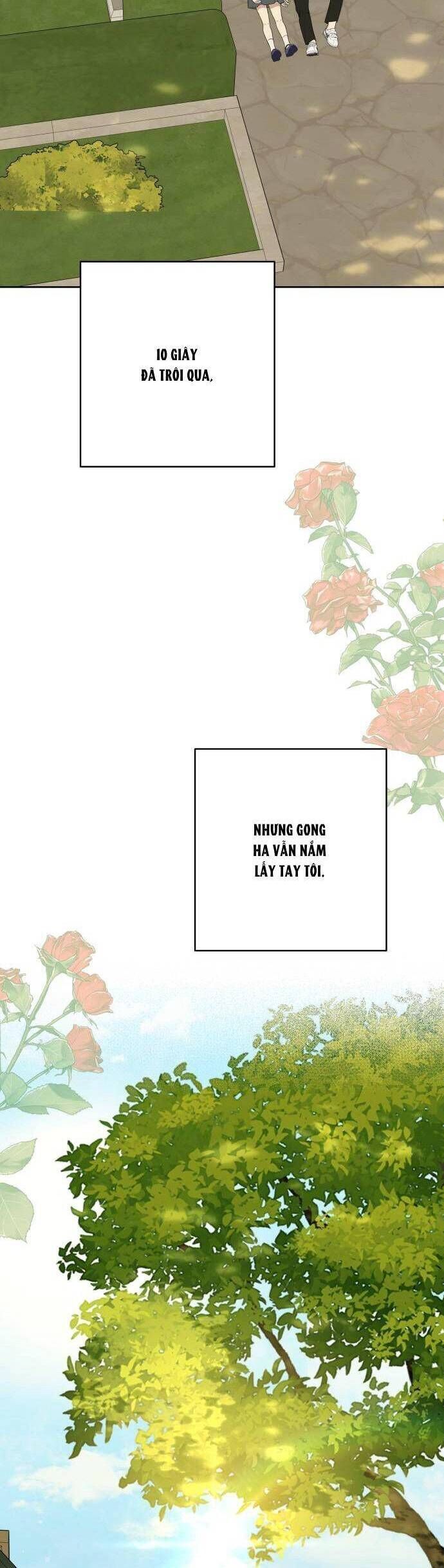 Kỷ Niệm Tuổi 19 Tồi Tệ Chap 29 - Next Chap 30