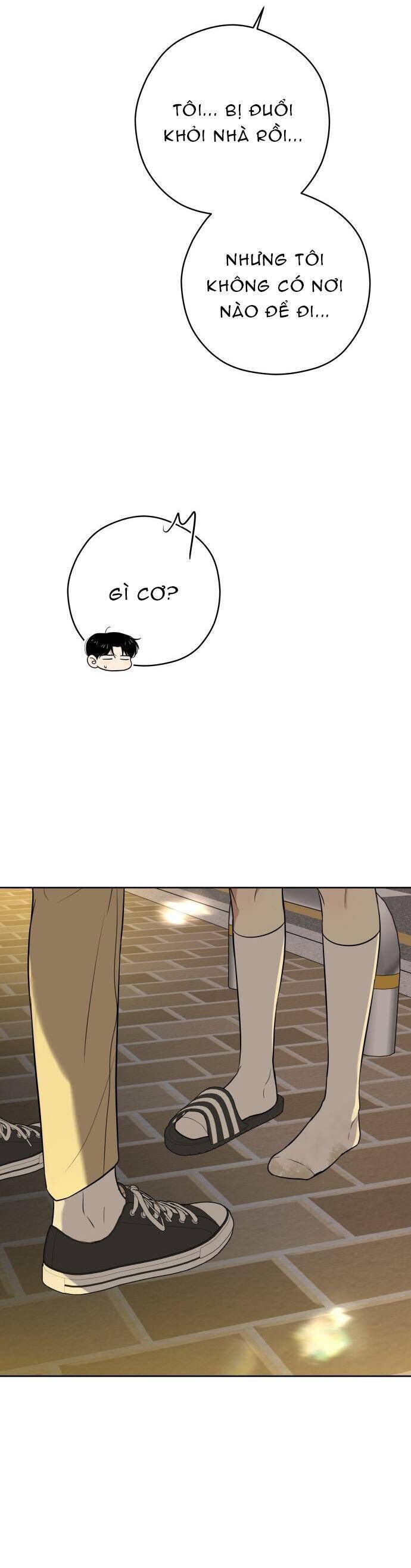 Kỷ Niệm Tuổi 19 Tồi Tệ Chap 39 - Next Chap 40
