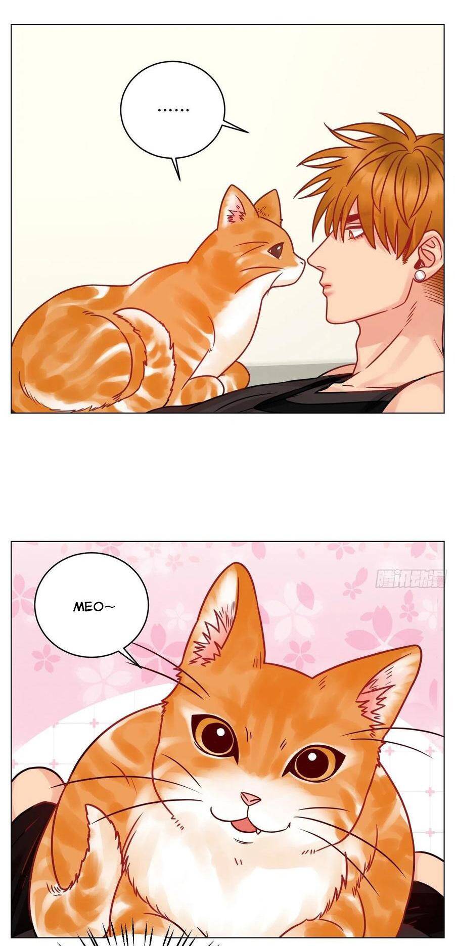Ký Túc Xá Nam Phòng 303 Chap 189 - Next Chap 190