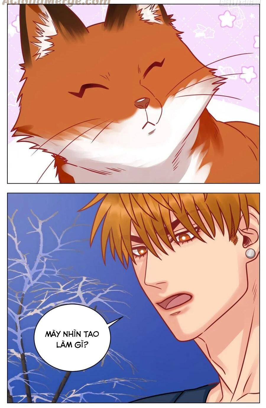 Ký Túc Xá Nam Phòng 303 Chap 189 - Next Chap 190