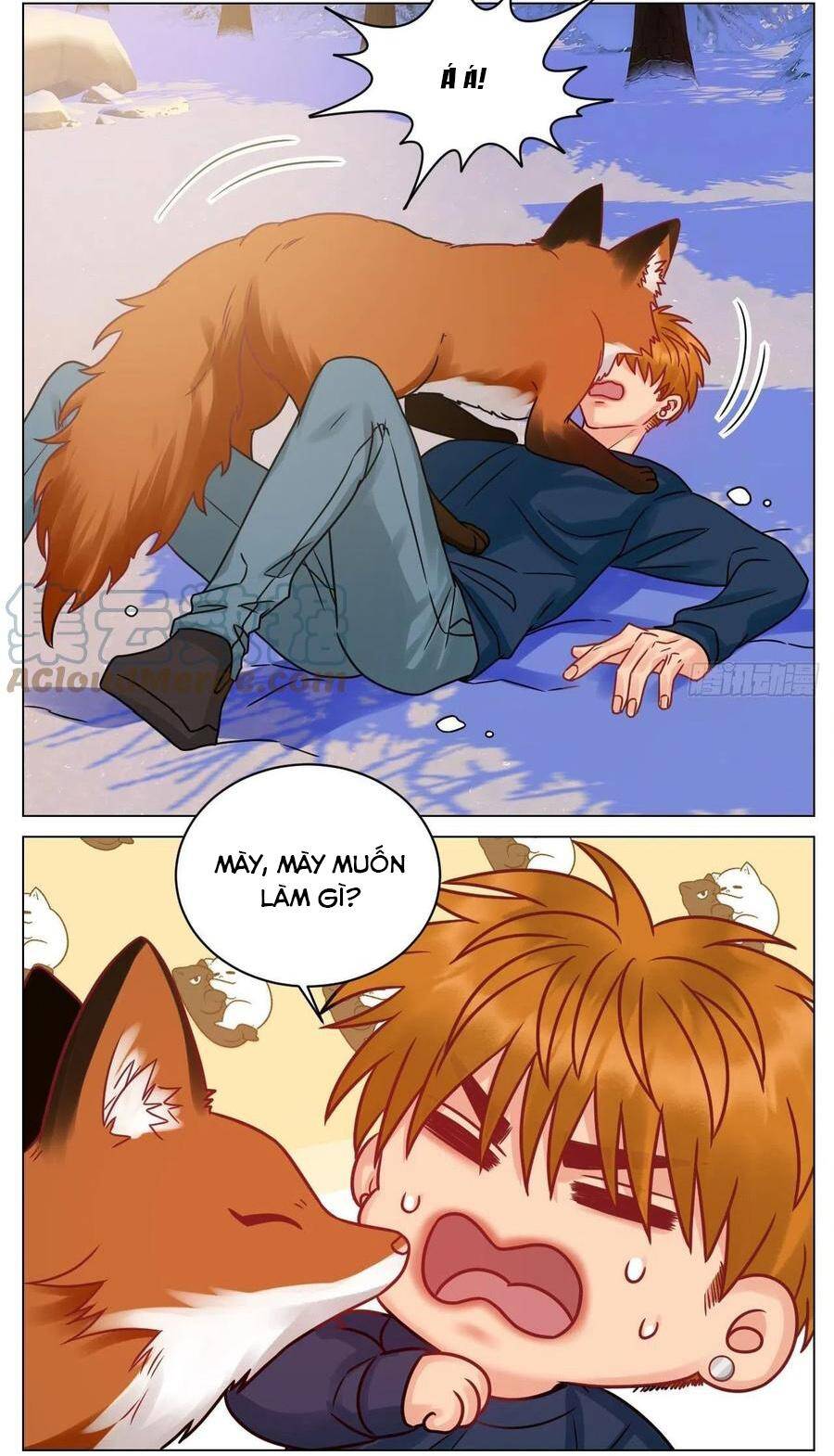 Ký Túc Xá Nam Phòng 303 Chap 189 - Next Chap 190