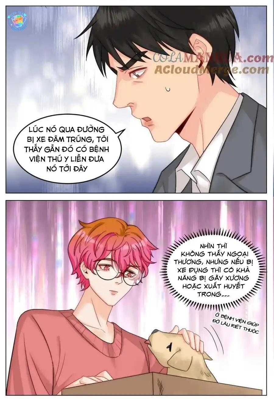 Ký Túc Xá Nam Phòng 303 Chap 245 - Next Chap 246