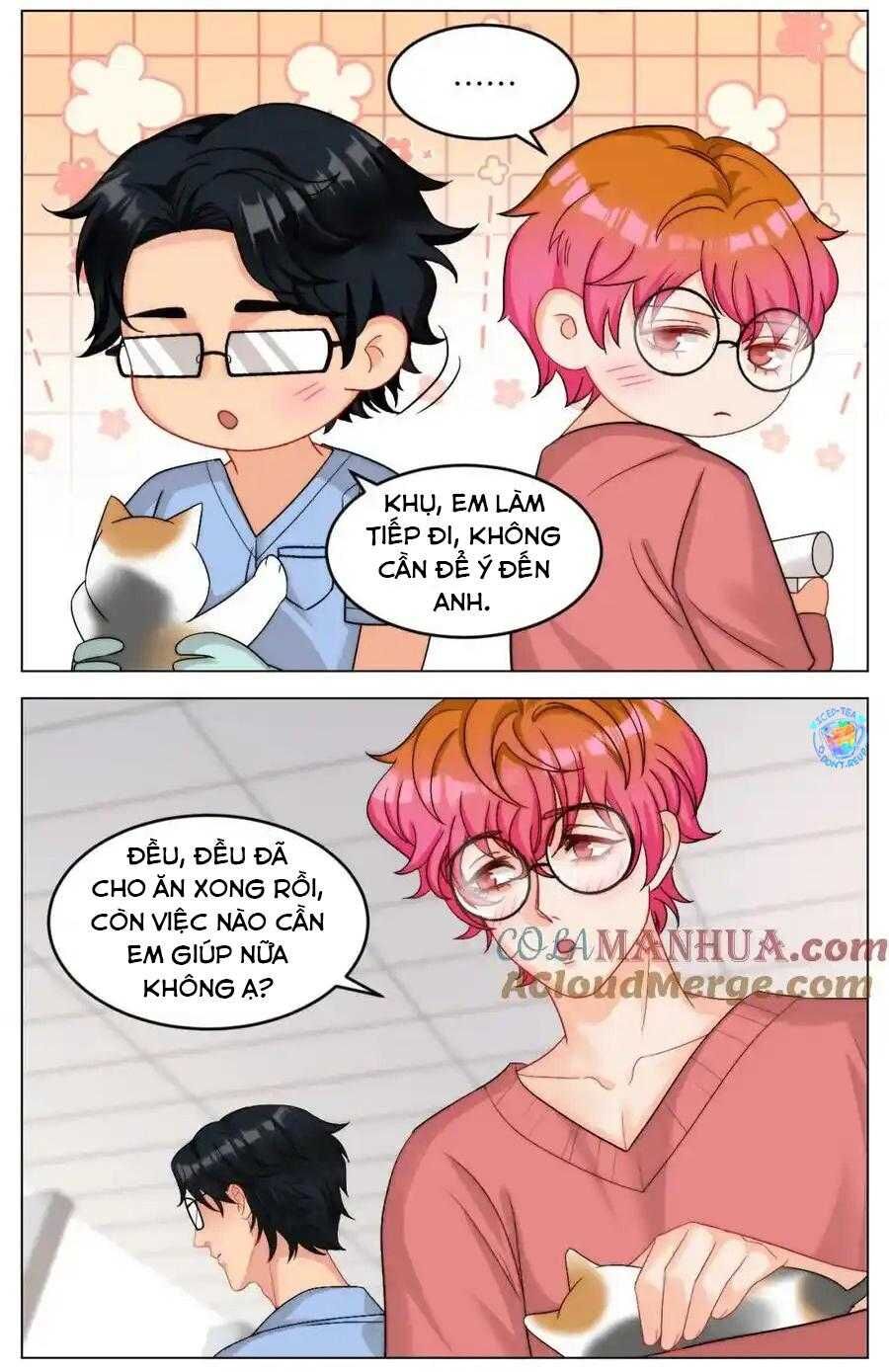 Ký Túc Xá Nam Phòng 303 Chap 245 - Next Chap 246