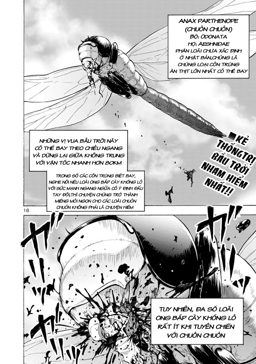 Kyochuu Rettou - Đảo Côn Trùng Chap 225 - Next Chap 226