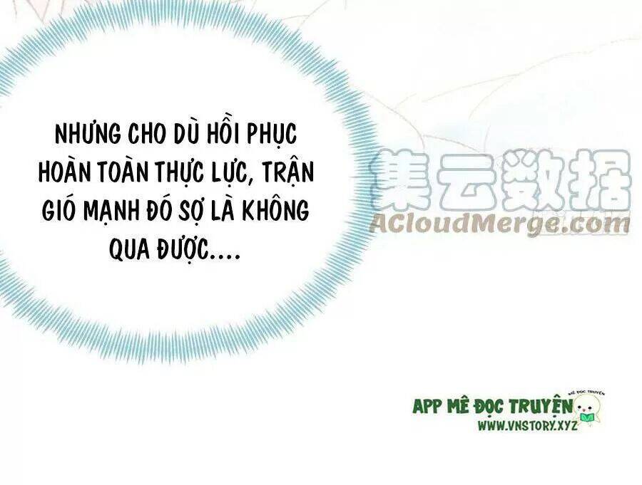 Lại Bị Bệnh Chiều Chuộng Quấn Lấy Chap 70 - Next Chap 71