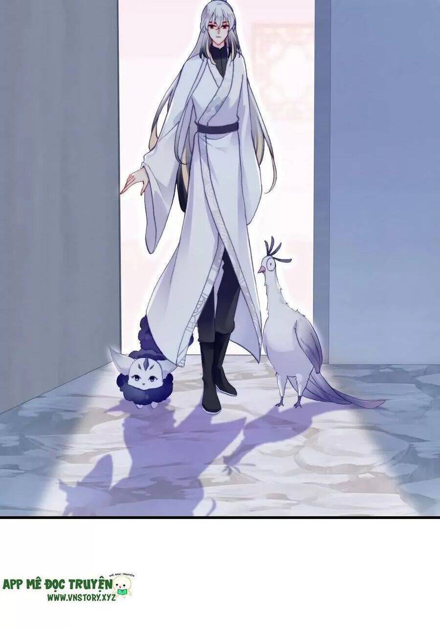 Lại Bị Bệnh Chiều Chuộng Quấn Lấy Chap 71 - Next Chap 72