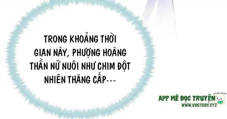 Lại Bị Bệnh Chiều Chuộng Quấn Lấy Chap 71 - Next Chap 72