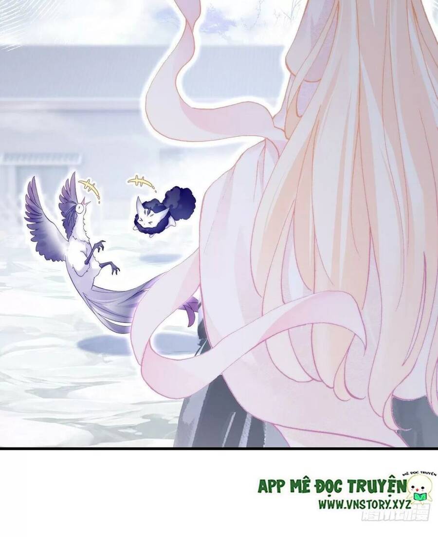Lại Bị Bệnh Chiều Chuộng Quấn Lấy Chap 72 - Next Chap 73