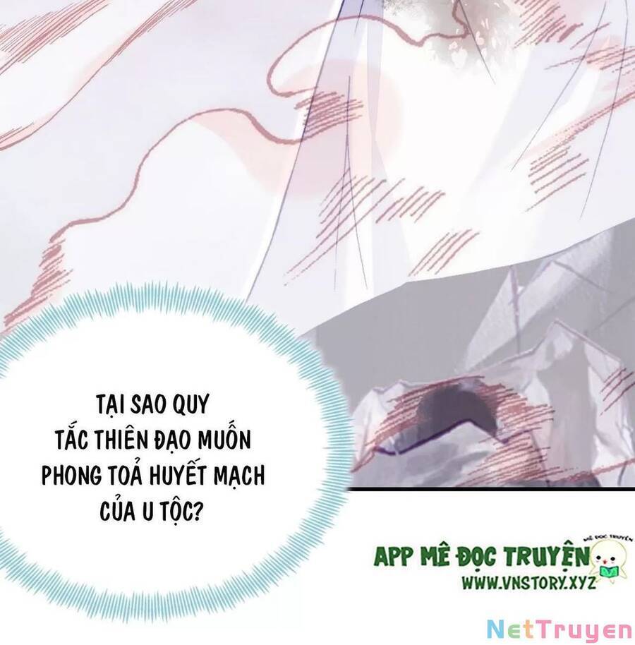 Lại Bị Bệnh Chiều Chuộng Quấn Lấy Chap 73 - Next Chap 74