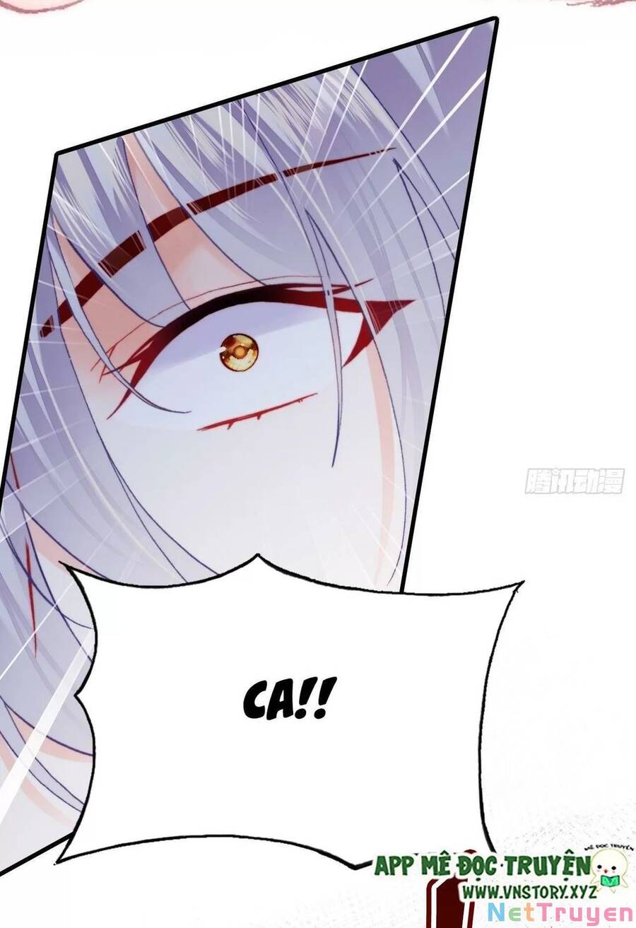 Lại Bị Bệnh Chiều Chuộng Quấn Lấy Chap 73 - Next Chap 74