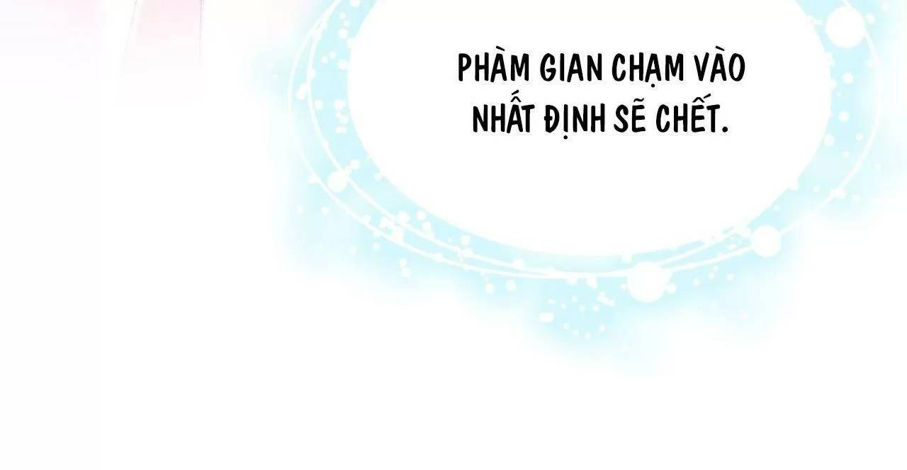Lại Bị Bệnh Chiều Chuộng Quấn Lấy Chap 74 - Next Chap 75
