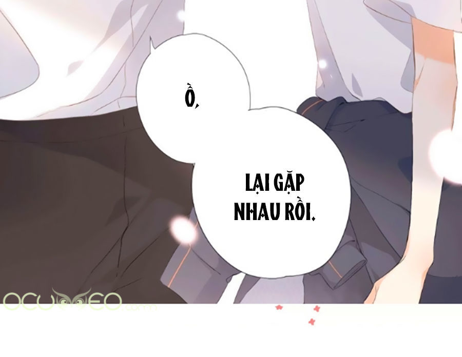 Lại Gặp Được Em Chap 03 - Next Chap 4