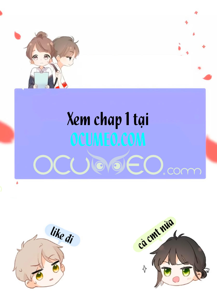 Lại Gặp Được Em Chap 03 - Next Chap 4