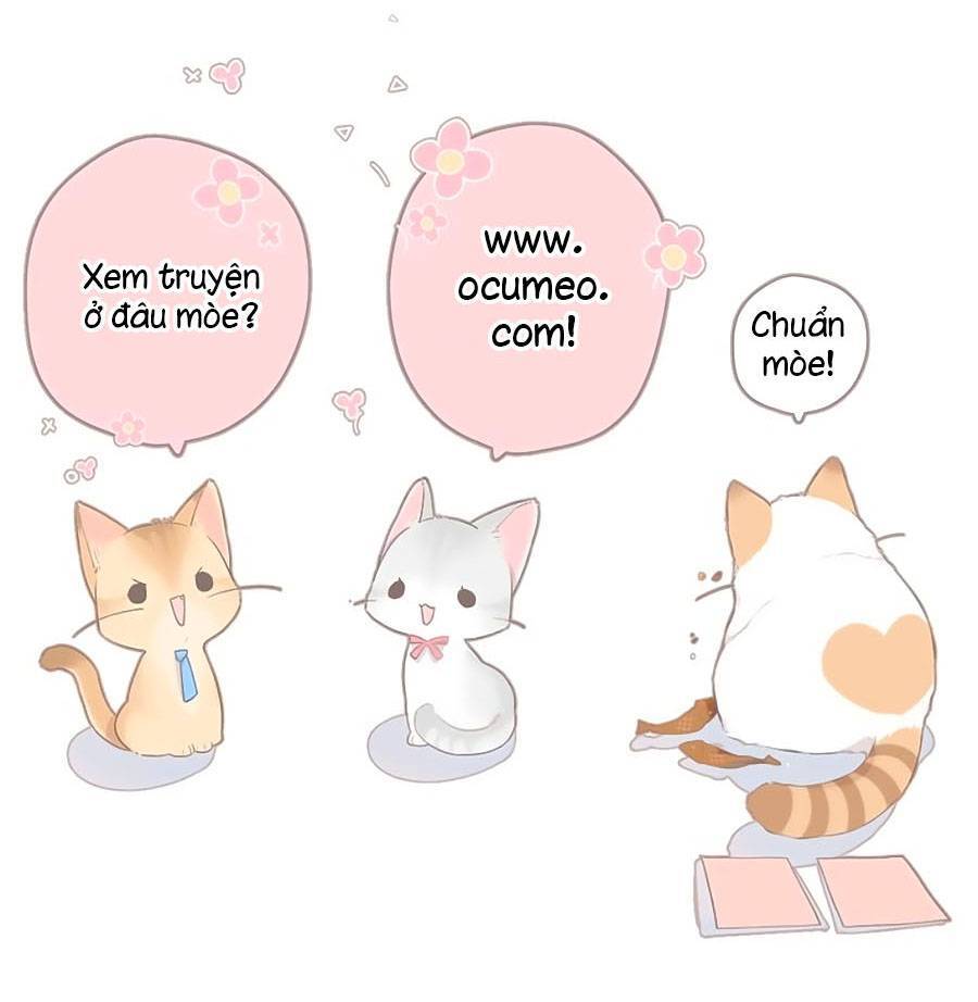 Lại Gặp Được Em Chap 137 - Next Chap 138