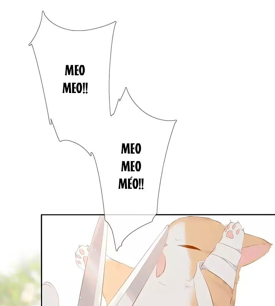 Lại Gặp Được Em Chap 256 - Next Chap 257