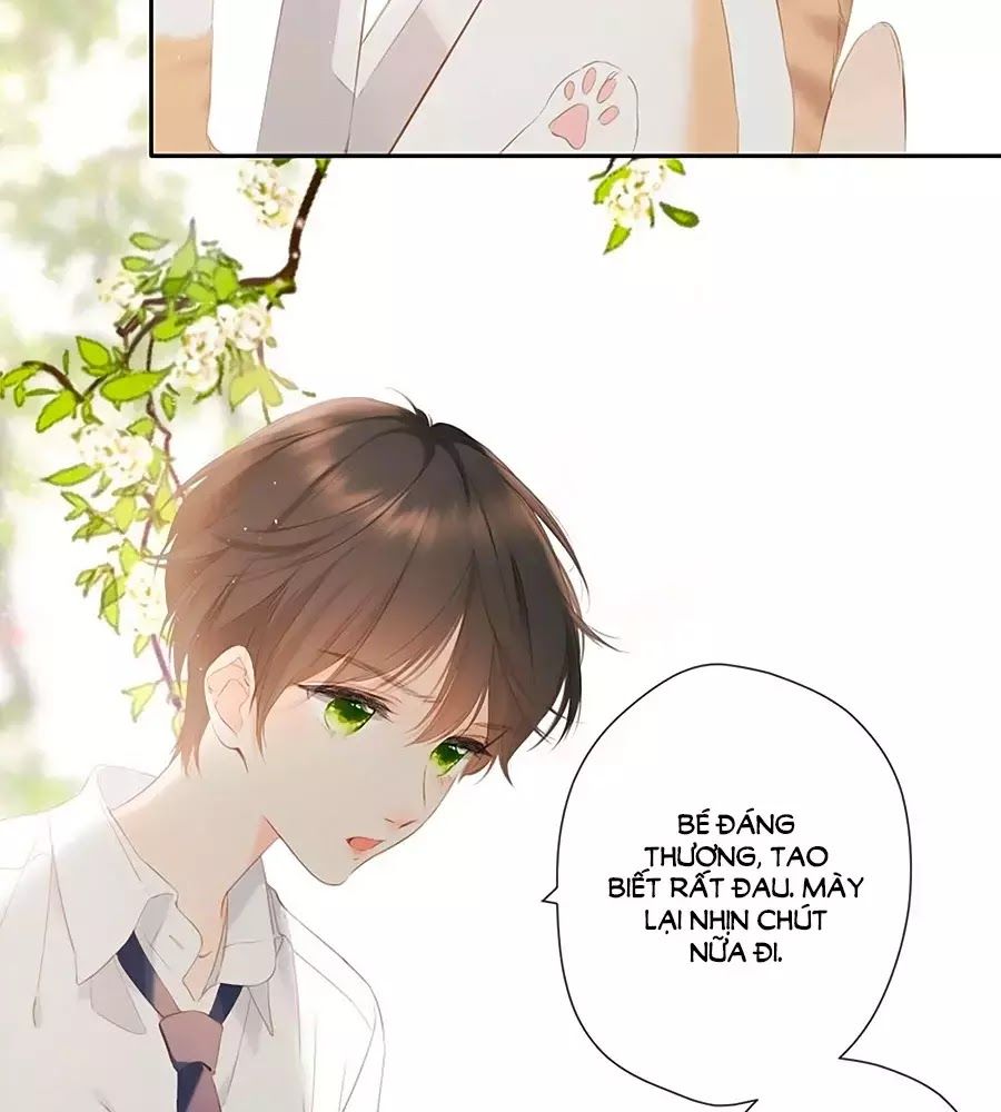 Lại Gặp Được Em Chap 256 - Next Chap 257
