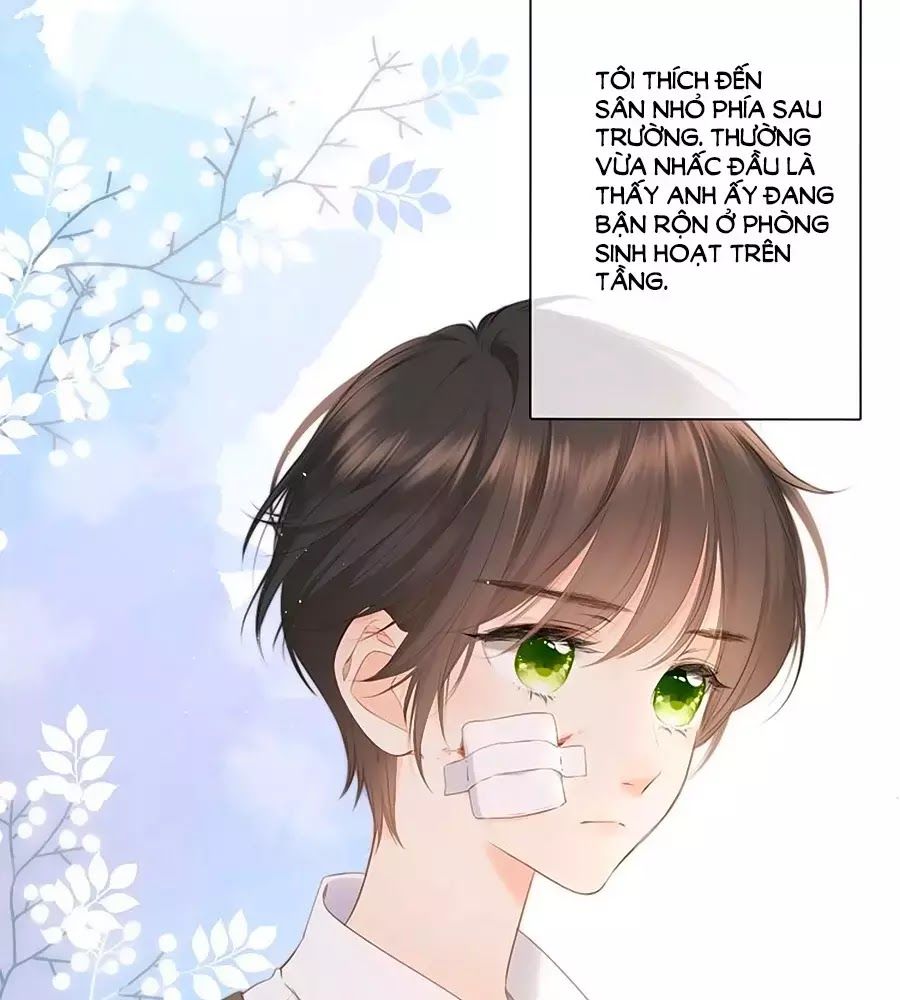 Lại Gặp Được Em Chap 256 - Next Chap 257