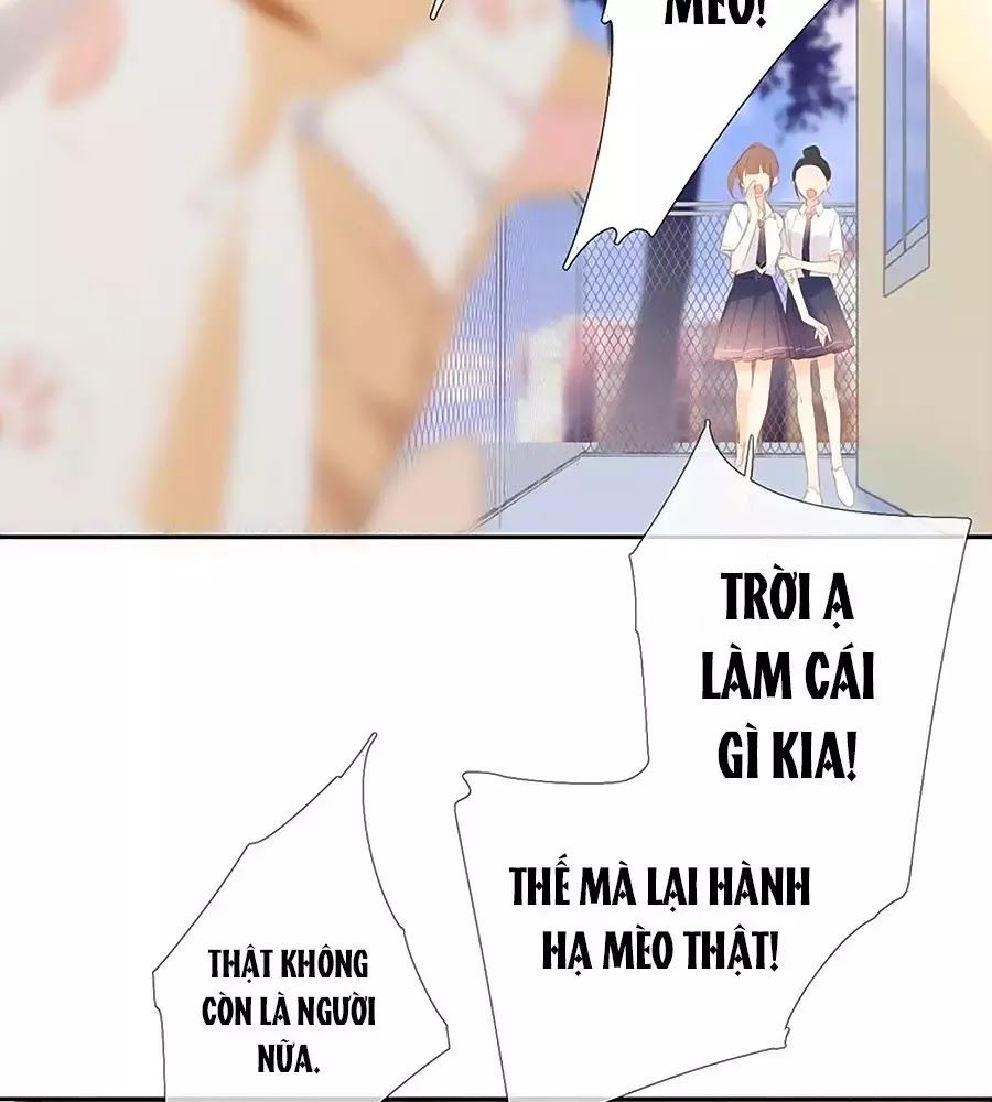 Lại Gặp Được Em Chap 256 - Next Chap 257