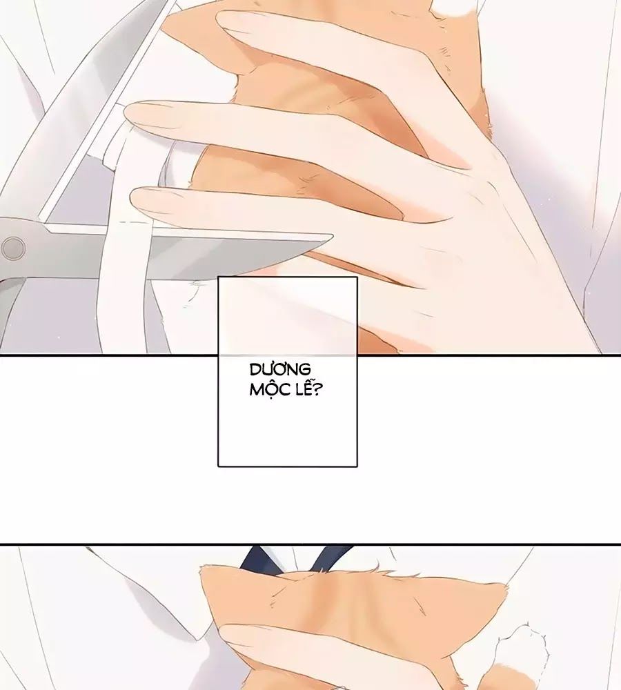 Lại Gặp Được Em Chap 256 - Next Chap 257