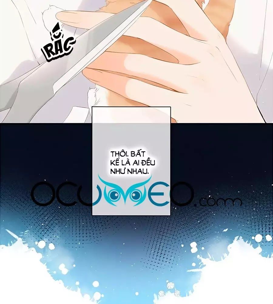 Lại Gặp Được Em Chap 256 - Next Chap 257