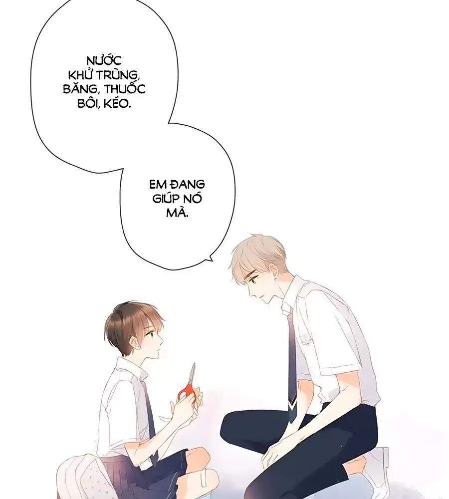 Lại Gặp Được Em Chap 256 - Next Chap 257