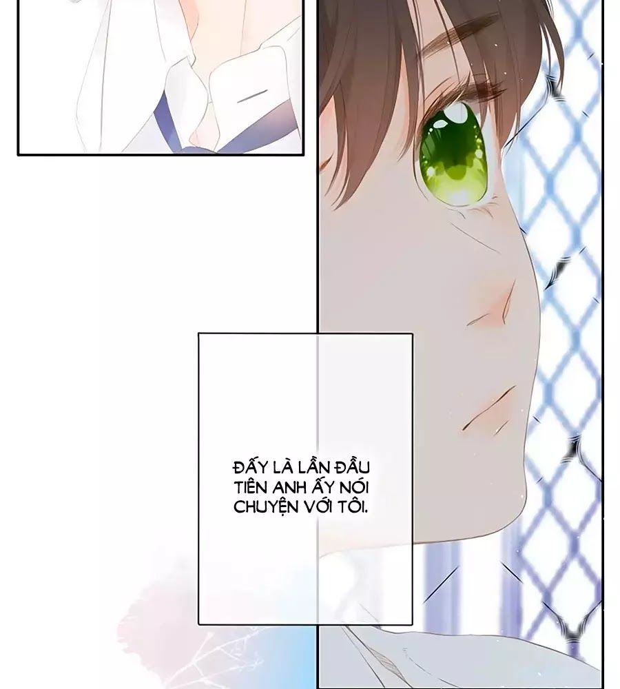Lại Gặp Được Em Chap 256 - Next Chap 257