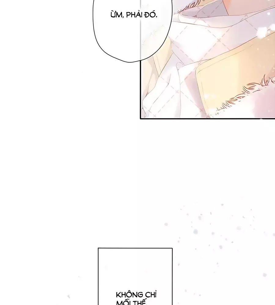 Lại Gặp Được Em Chap 256 - Next Chap 257