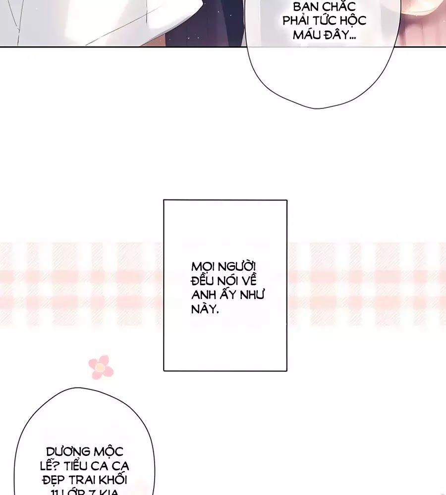 Lại Gặp Được Em Chap 256 - Next Chap 257
