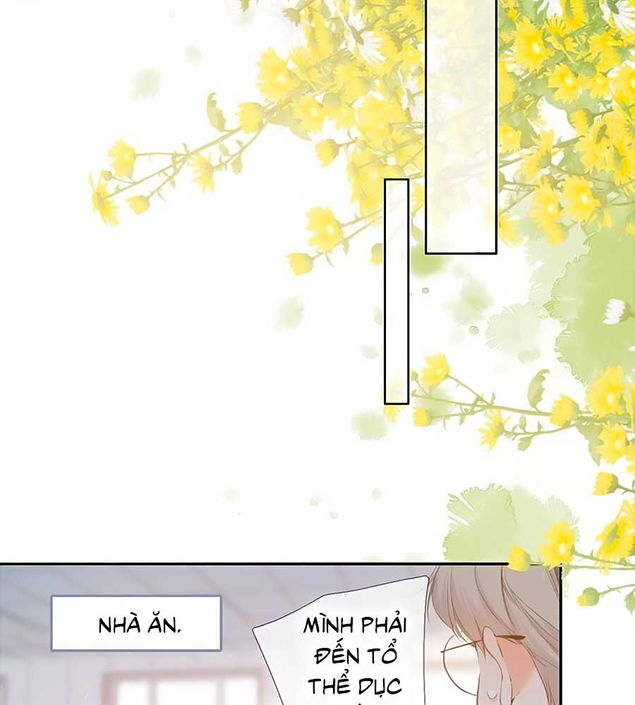 Lại Gặp Được Em Chap 54 - Next Chap 55